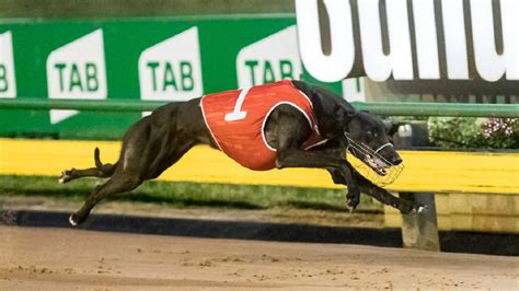 greyhound racing sky.